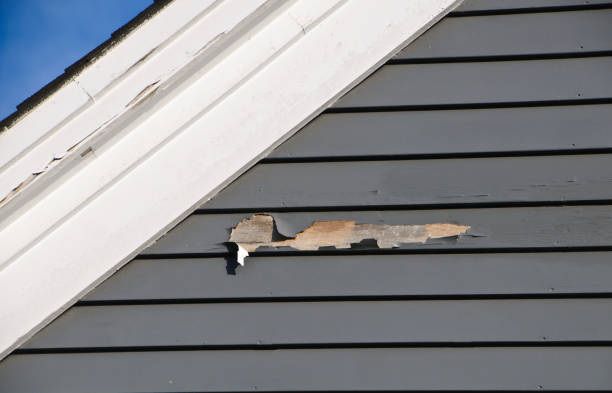 Best Custom Trim and Detailing for Siding  in St Helena, CA